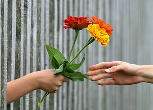 a smaller hand giving a larger hand flowers through a fence